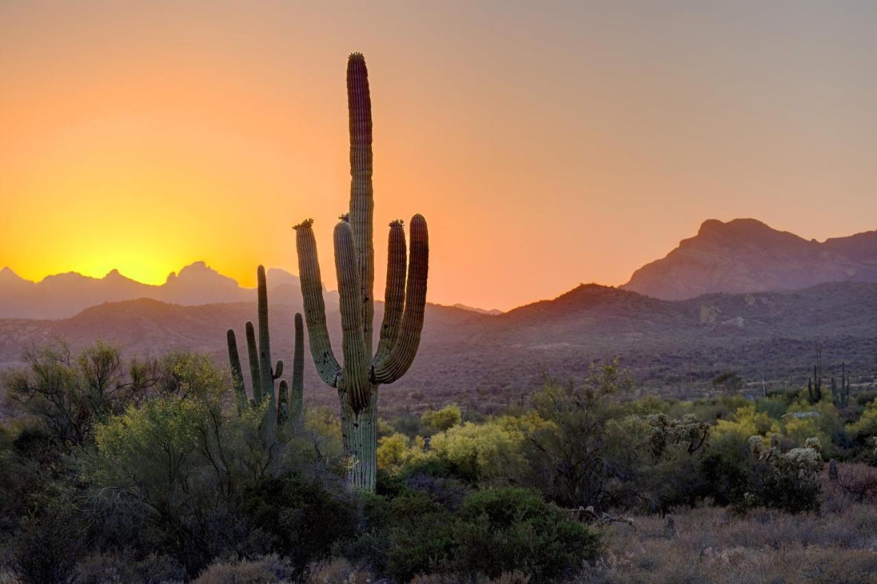 Aloft Scottsdale Otel Dış mekan fotoğraf